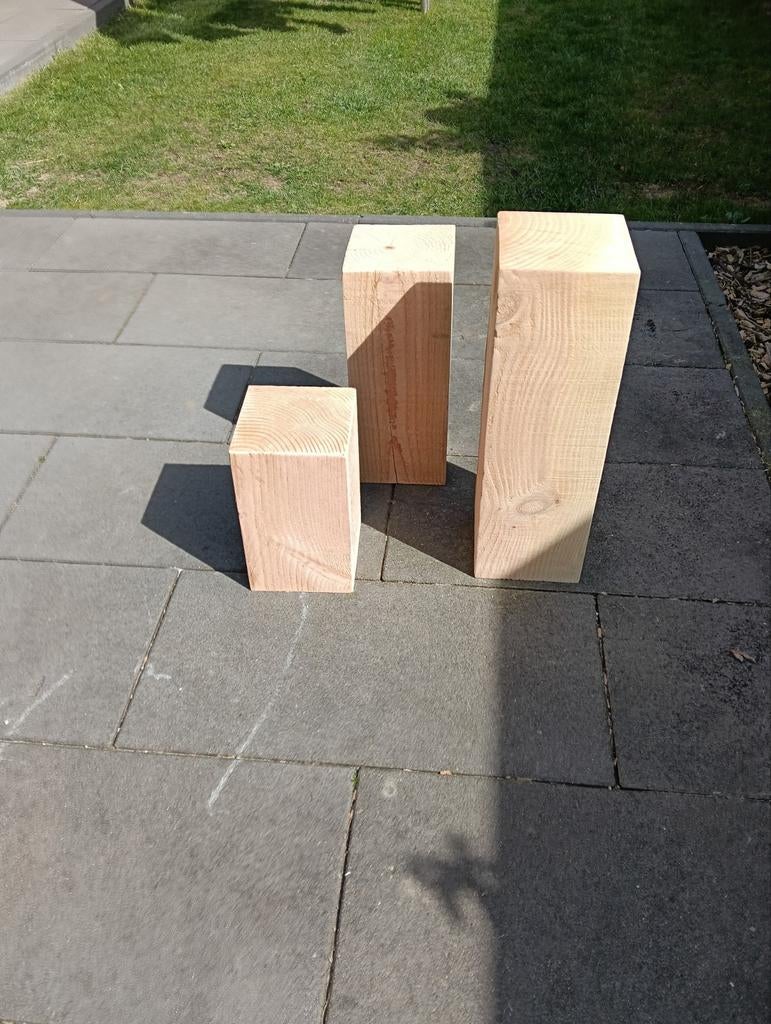 Douglas zuilen 3x, Tuin en Terras, Ophalen of Verzenden, Nieuw