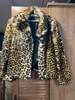 Panterjas, Ophalen of Verzenden, Zo goed als nieuw, Maat 38/40 (M), Carnaval