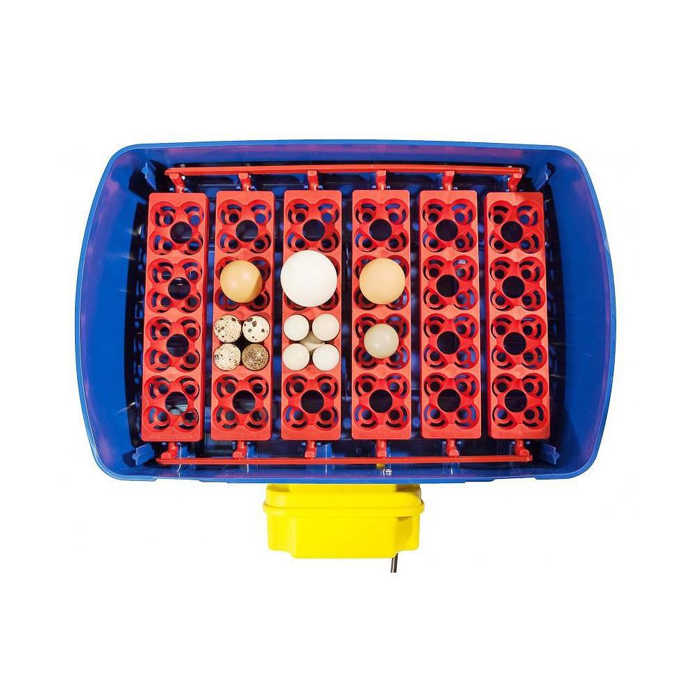 Broedmachine REAL24 automatisch, Info@olba.com, De Mars 13, Coevorden 7742PT, Nieuw, Ophalen of Verzenden