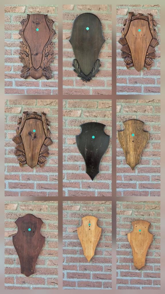 Mooie Edelhert trofee planken schilden jacht jager taxidermi, Ophalen of Verzenden, Gebruikt, Hert, Gewei of Kop