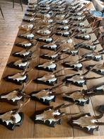 Reegeweien, geweien,reebok, mancave, overkapping, Ophalen of Verzenden, Gebruikt, Wild dier, Schedel