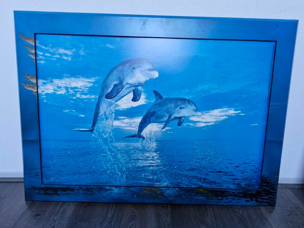 Schilderij met dolfijnen, Ophalen