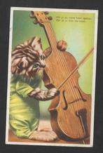 De kat en zijn viool  of poes, Verzenden, 1940 tot 1960, Gelopen, Muziek