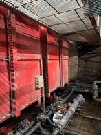 Complete brijvoerkeuken [244], Meerdere dieren, Schaap