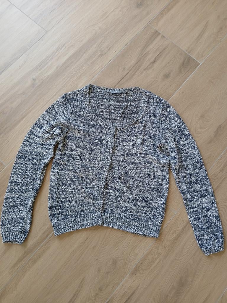 Dames vest maat M 38 / 40 Hema gemêleerd wit en blauw, Kleding | Dames, Truien en Vesten, Maat 38/40 (M), Overige kleuren, Ophalen of Verzenden