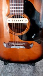 Vintage Framus 12-snarige Westerngitaar met element, Ophalen of Verzenden, Gebruikt, Western- of Steelstringgitaar