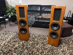 Actieve open baffle luidsprekers high-end, Audio, Tv en Foto, Luidsprekers, Overige merken, Gebruikt, Ophalen of Verzenden, 120 watt of meer