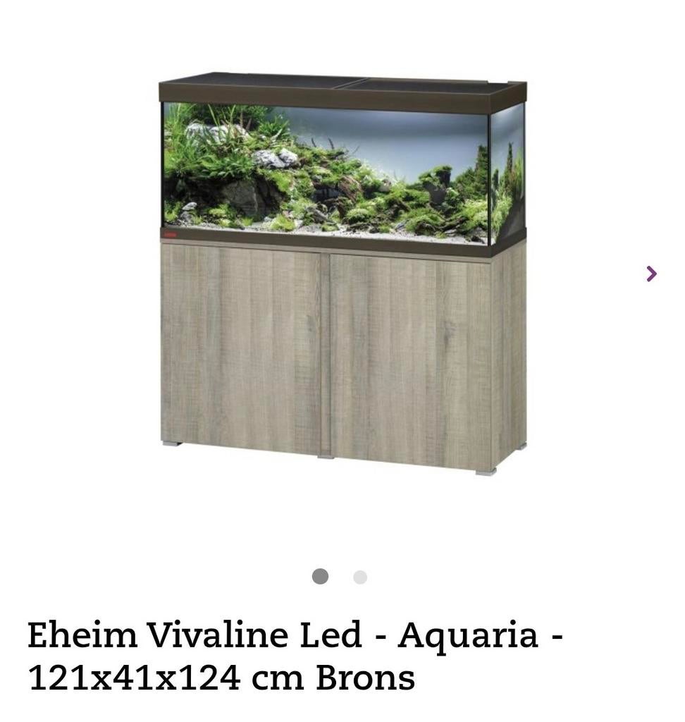 Cichliden eheim aquarium met inhoud verlichting en pompen, Eheim, Ophalen, Inclusief vissen, Gevuld zoetwateraquarium