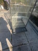 Aangeboden nog nette grote vogelkooi, Ophalen, Gebruikt, Metaal, Vogelkooi