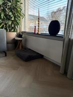 Radiator vlak T21 (200x40), Ophalen, 30 tot 80 cm, Radiator, 150 cm of meer