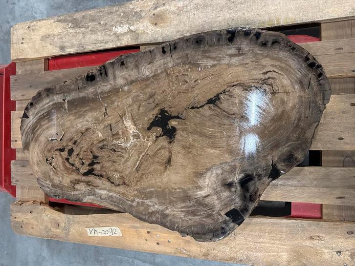 Versteend Hout Epoxy Tafelblad 96x58cm, Antiek en Kunst, Kunst | Designobjecten, Ophalen