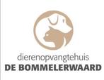 Gezocht gratis spullen (inzamelingsactie dierenasiel), Diversen, Ophalen
