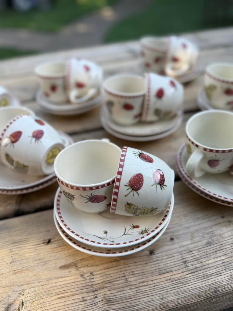 Jet ter Steege servies aardbei, Ophalen of Verzenden, Zo goed als nieuw, Overige stijlen, Kop(pen) en/of Schotel(s)