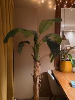 Kunst bananenboom met bast van echte bladeren, Ophalen of Verzenden, Zo goed als nieuw, Binnen