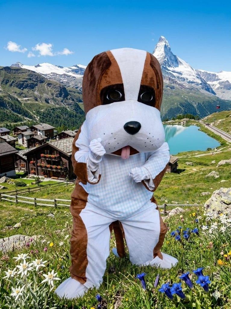 Mascotte Loebas de St. Bernhardshond, Ophalen of Verzenden, Zo goed als nieuw, Verjaardag