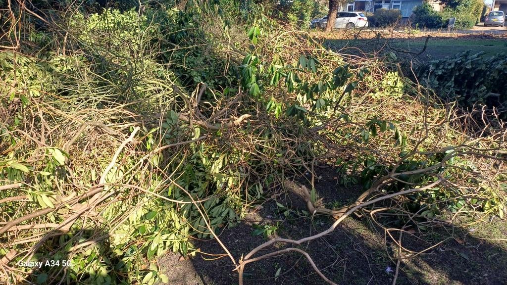 Paasvuur! Schoon snoeihout Emmer-Compascuum, Ophalen