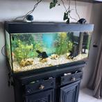 Aquarium Jewel Rio 180, Dieren en Toebehoren, Vissen | Aquaria en Toebehoren, Ophalen, Gebruikt, Leeg aquarium