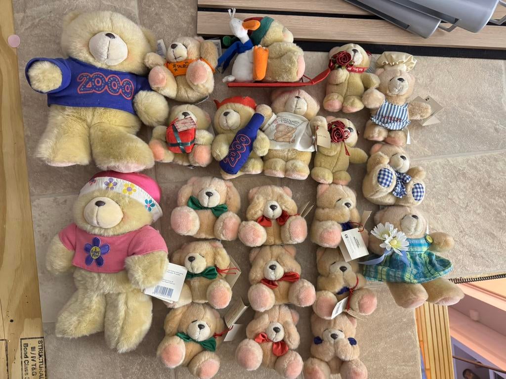 Verzameling van 21 pluche Forever Friends beren, Verzamelen, Beren en Cherished Teddies, Ophalen, Zo goed als nieuw, Stoffen beer