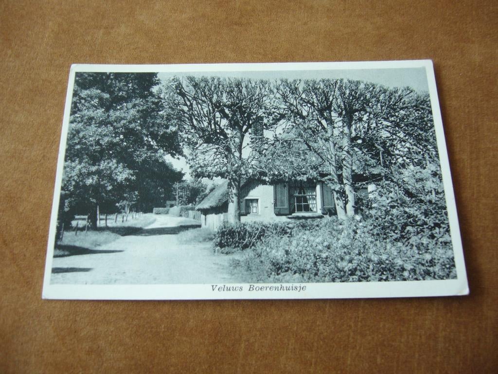 VELUWE  =  VELUWS BOERENHUISJE, Ophalen of Verzenden, 1940 tot 1960, Gelopen, Gelderland