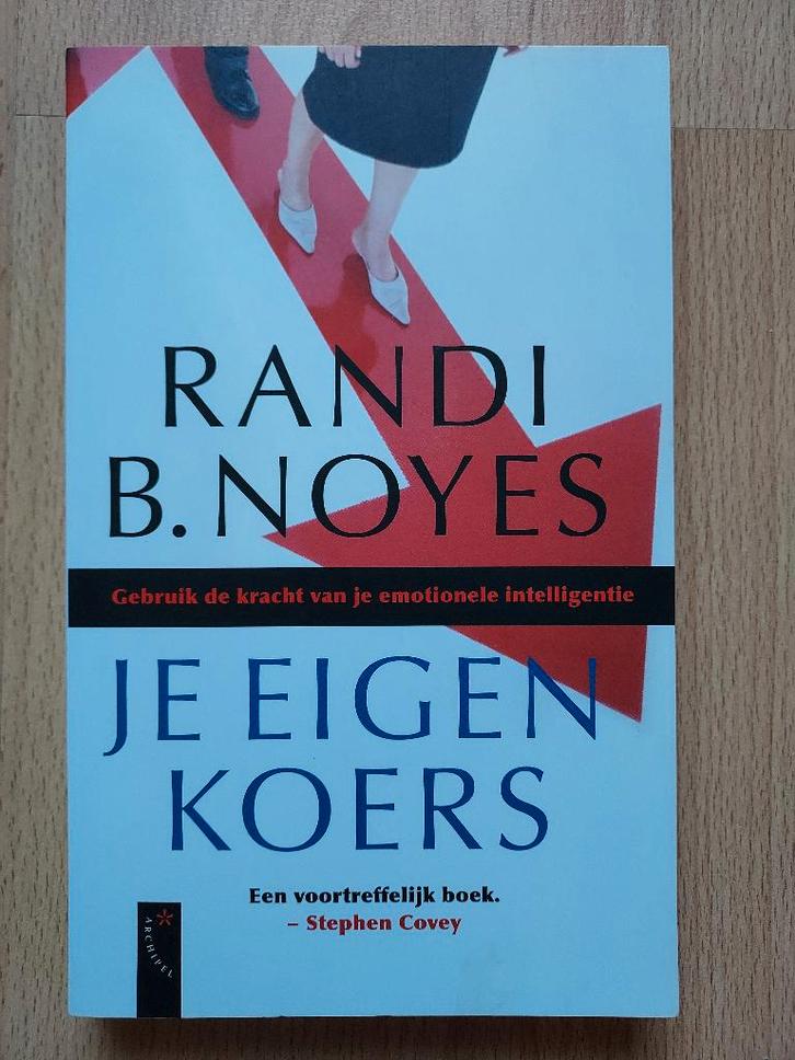 Je eigen koers - Randi B. Noyes, Boeken, Esoterie en Spiritualiteit, Nieuw, Achtergrond en Informatie, Spiritualiteit algemeen
