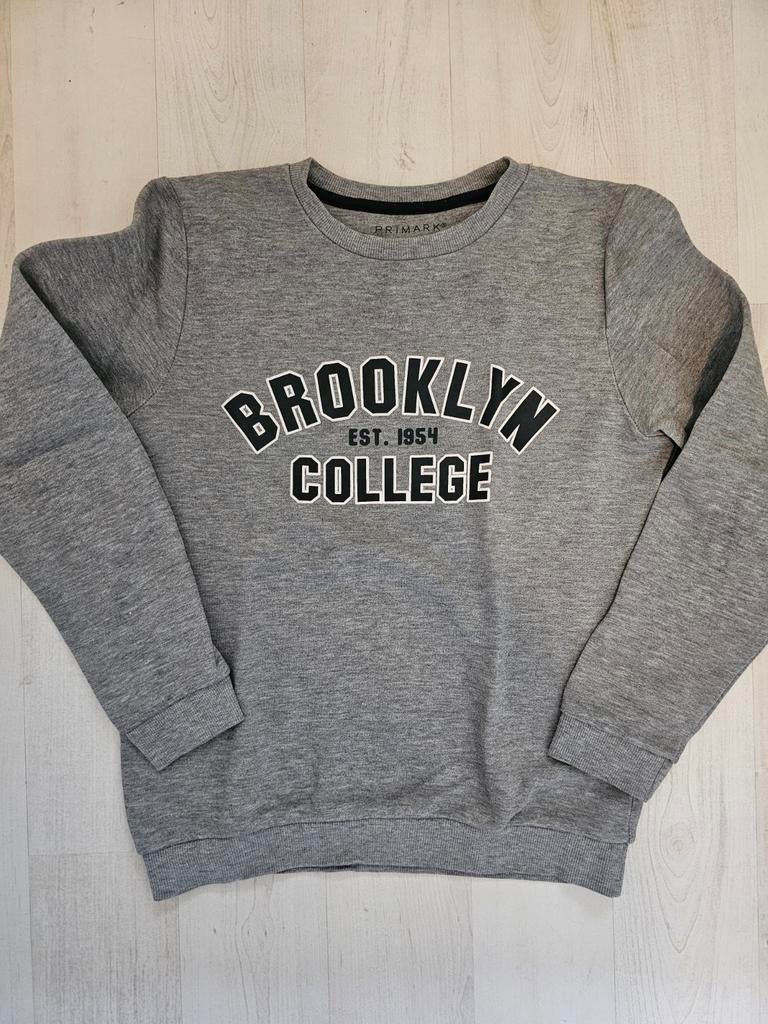 Grijze trui maat 140, Kinderen en Baby's, Kinderkleding | Maat 140, Gebruikt, Trui of Vest, Ophalen of Verzenden, Primark