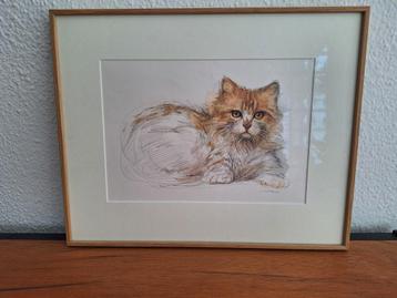 Kat in potlood en waterverf, 35 bij 29 cm beschikbaar voor biedingen