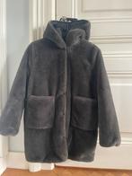 Zara/ Grijze Teddy Jas / Maat M/ 164 cm /13-14 jaar, Kleding | Dames, Ophalen of Verzenden, Zo goed als nieuw, Maat 38/40 (M)