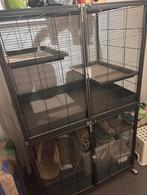 Grote rattenkooi, Dieren en Toebehoren, Knaagdieren en Konijnen | Hokken en Kooien, Ophalen of Verzenden, Zo goed als nieuw