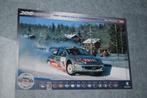 poster peugeot 206 wrc 2001 world rally championship, Ophalen of Verzenden, Zo goed als nieuw, Auto's