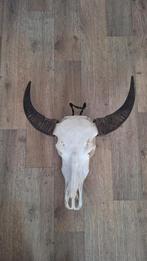 Decoratieve Waterbuffel Schedel, Antiek en Kunst, Ophalen