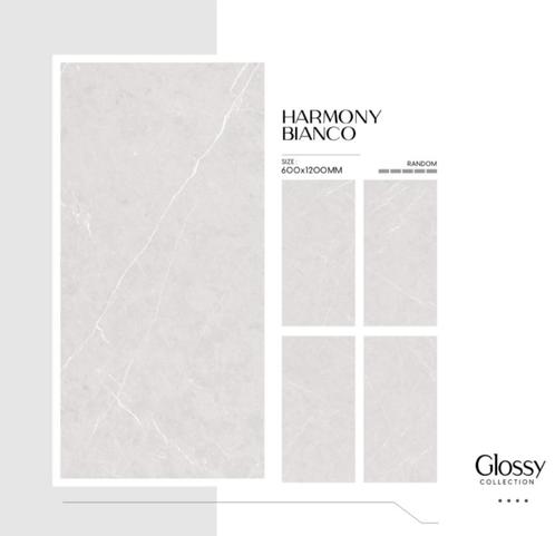 Max-Ceramica Harmony Bianco Tegels 60x120 voor spotprijzen, Doe-het-zelf en Verbouw, Tegels, Nieuw, Vloertegels, Keramiek, 60 cm of meer