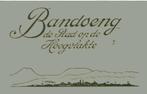 Bandoeng - Nederlands Indië, Ophalen of Verzenden, Gelezen, Overige gebieden