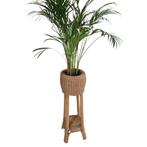 Plantenstandaard van Rotan (Vintage), Ophalen, Overige soorten, Halfschaduw, In pot