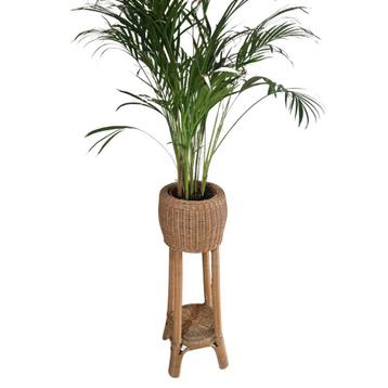 Plantenstandaard van Rotan (Vintage) beschikbaar voor biedingen