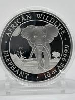 10oz elephant 2025 - proof like - 311 gram puur zilver, Ophalen of Verzenden, Zilver