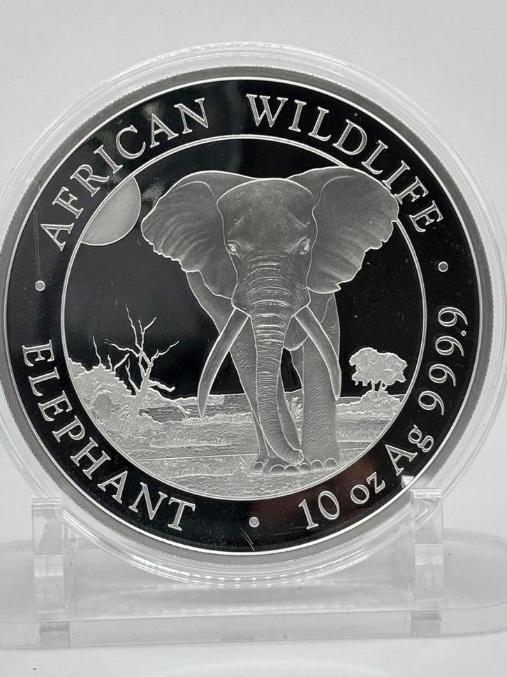 10oz elephant 2025 - proof like - 311 gram puur zilver, Postzegels en Munten, Edelmetalen en Baren, Zilver, Ophalen of Verzenden