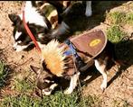 Hondenjasje dog’s life voor chihuahua, kleine hond of puppy, Verzenden, Zo goed als nieuw, Hondenjas