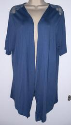 Vestje maat 48, Ophalen of Verzenden, Zo goed als nieuw, Blauw, Trui of Vest