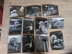 Oude set dieren foto's Diergaarde Blijdorp Rotterdam, Verzamelen, Foto's en Prenten, Gebruikt, Foto, Ophalen of Verzenden, 1940 tot 1960