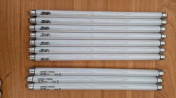 philips en Osram TL buizen 8W cool white + starters 4-20w beschikbaar voor biedingen
