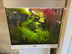 Juwel Lido 240 aquarium + meubel – co2 en inhoud!, Ophalen, Zo goed als nieuw, Gevuld zoetwateraquarium