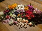 Kuntsbloemen, Ophalen of Verzenden, Gebruikt, Binnen