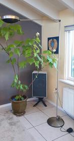 Vloerlamp Lumina Elle 2, Ophalen, Gebruikt, Metaal