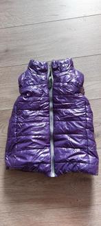Bodywarmer maat 116 salty Dog, Meisje, Ophalen of Verzenden, Zo goed als nieuw, Salty Dog