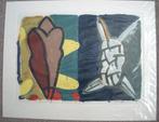 Piet Warffemius (1956) - Verschillend 't zelfde - 19/60, Antiek en Kunst, Kunst | Litho's en Zeefdrukken, Ophalen