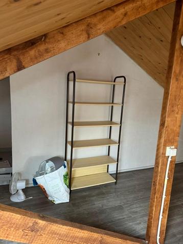 Wooden bookcase with shelves