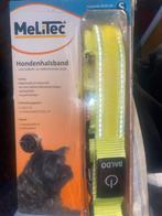 Honden band met berlichting etc bieden nieuw in doos inc bat, Dieren en Toebehoren, Ophalen of Verzenden, Nieuw