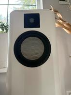 Daluso Dutch Statement XL Accuton High End, Audio, Tv en Foto, Luidsprekers, Zo goed als nieuw, 120 watt of meer, Front, Rear of Stereo speakers