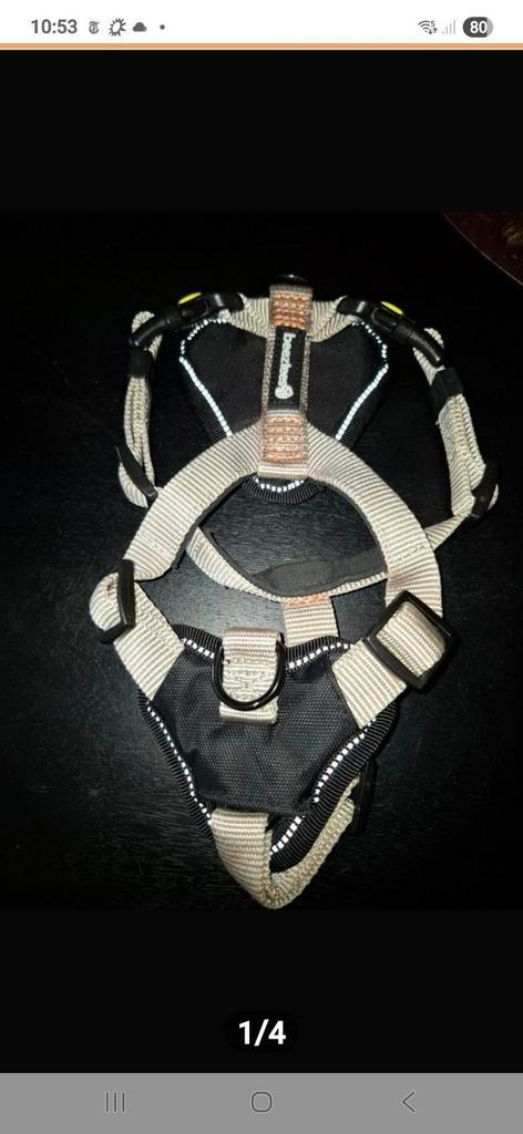 Beeztees y tuig zandkleur., Dieren en Toebehoren, Hondenhalsbanden en Penningen, Zo goed als nieuw, Ophalen