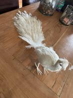 Leuke vogel, Ophalen of Verzenden